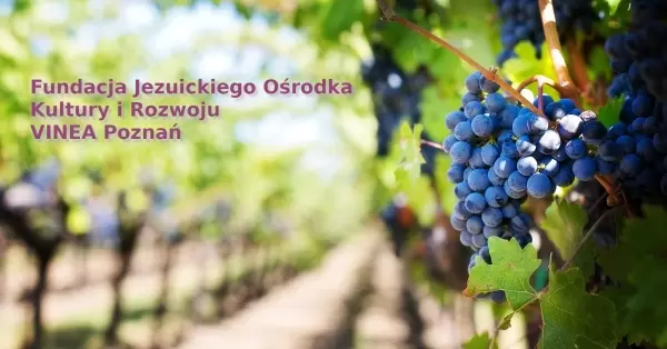 Spacer z przewodnikiem po Ostrowie Tumskim