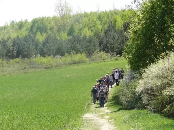 Przechadzka do głazu w rezerwacie Meteoryt Morasko | XXXII „Przechadzki po mieście”