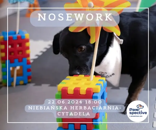 Wprowadzenie w świat pracy węchowej psów | Darmowy wykład 