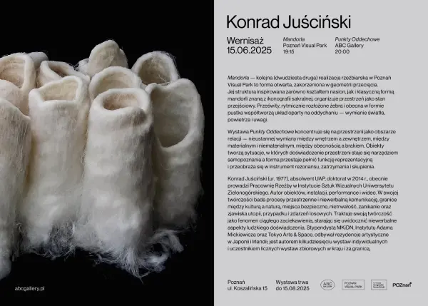 KONRAD JUŚCIŃSKI, Wernisaż: Punkty Oddechowe / ABC Gallery, Mandorla / Poznań Visual Park